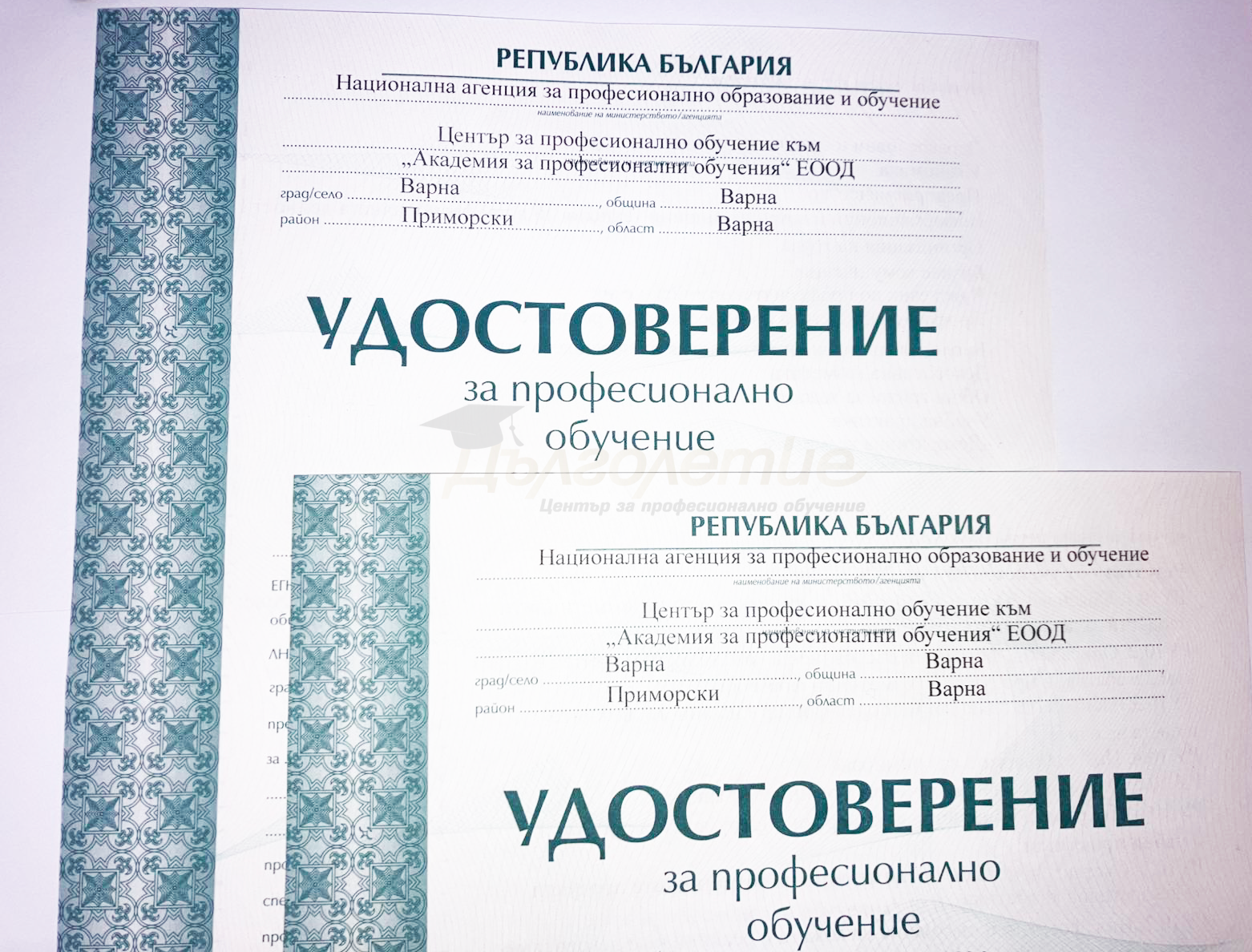 УДОСТОВЕРЕНИЕ ЗА ПРОДИБИВАНЕ НА ПРОФЕСИОНАЛНО ОБУЧЕНИЕ - Дълголетие